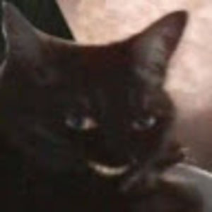 Meet your Posher, Embry